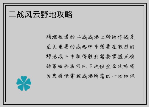 二战风云野地攻略